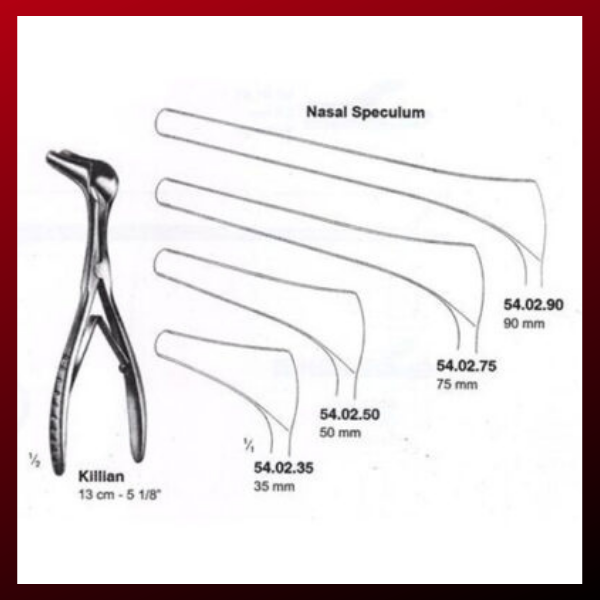 Speculum